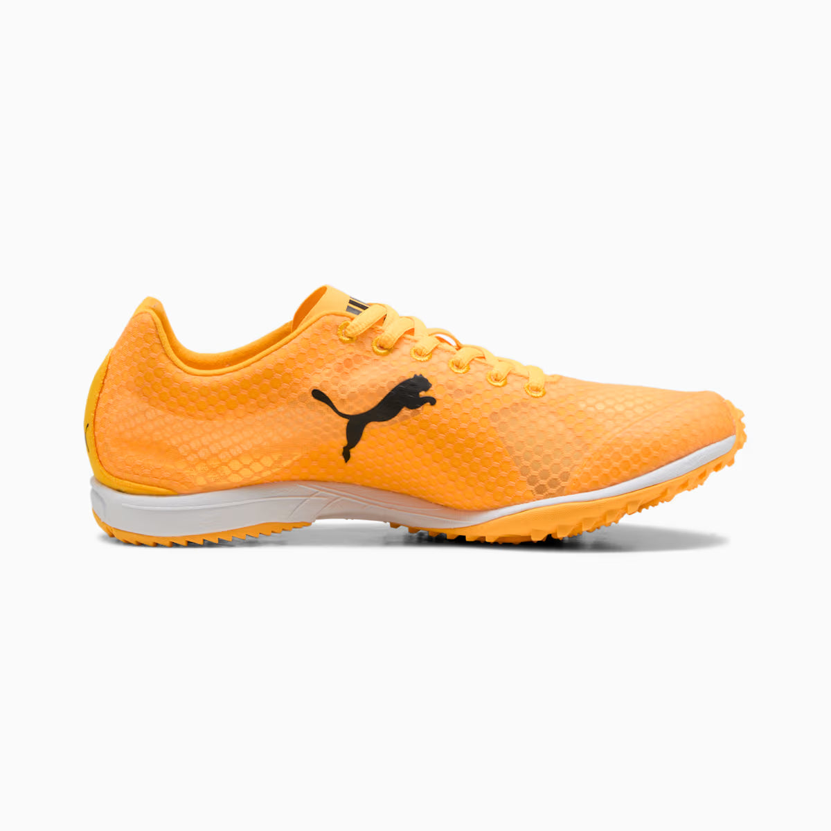PUMA EVOSPEED HARAKA 8 UNISEX